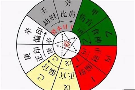 地支十神表|八字地支十神查询(日主癸水十神对照表)